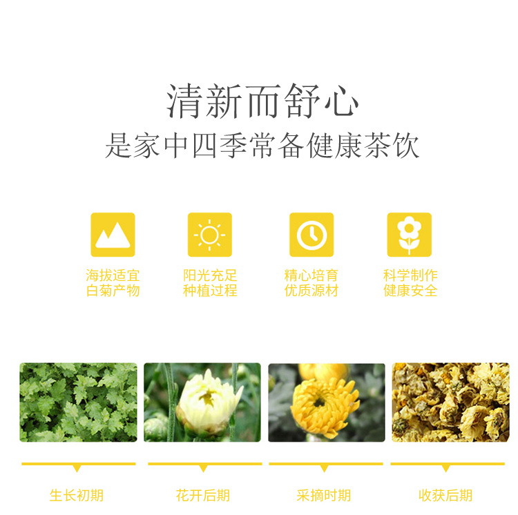 雪梨菊花茶